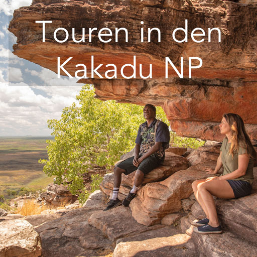 TNT Darwintouren2 514