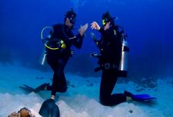 images/Tauchen/Divemaster/PROD-Taucher-600.jpg