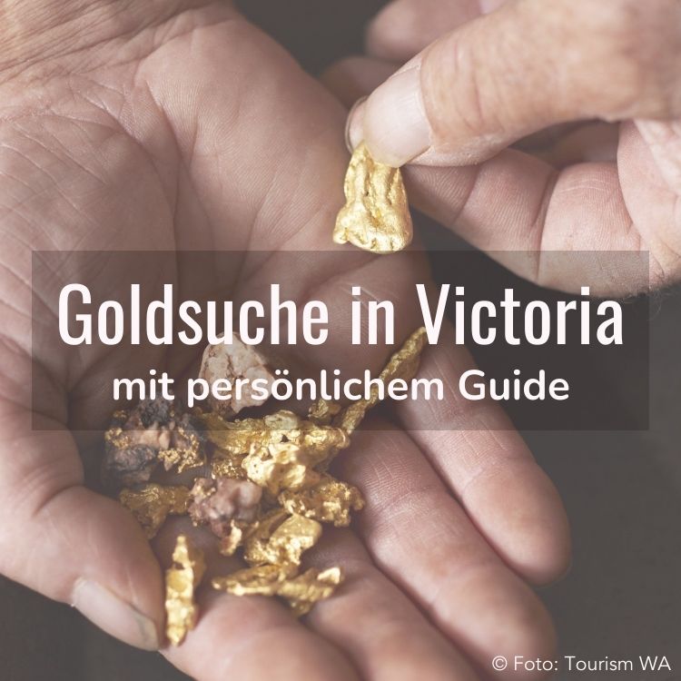 Goldsuche in Victoria