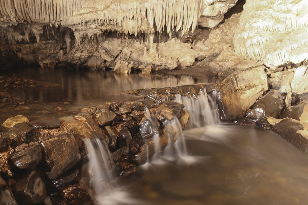 Mole Creek Cave Tours