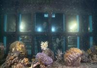 images/Touren/Ostkueste/Sunlover-aktiv/SLS-underwaterobservatory-800.jpg