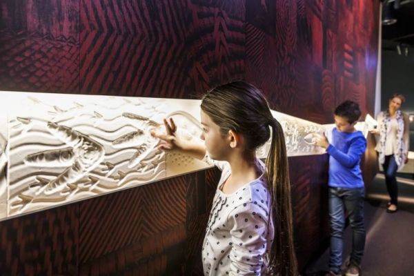 vic-melbournemuseum-8006E836845-C728-B8B3-6071-0082B464B52A.jpg