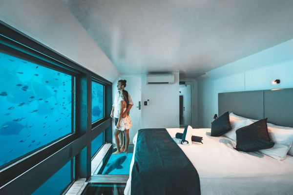 cws-reefsleep4-10005C39F174-9EC3-4D65-34AC-A6EEA44581C2.jpg