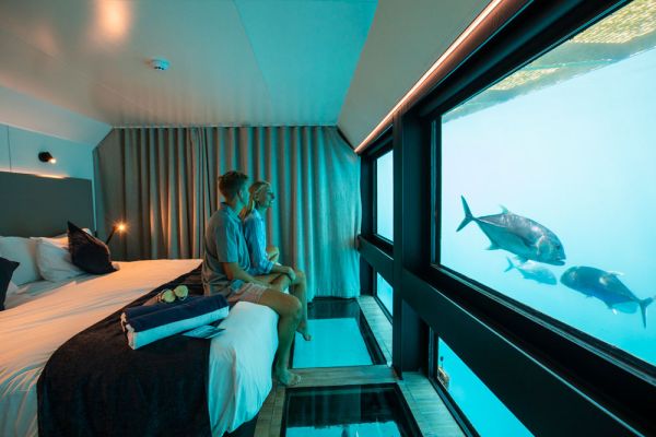 cws-reefsleep5-1000FE53648B-132A-3A25-669E-228B06E1A01E.jpg