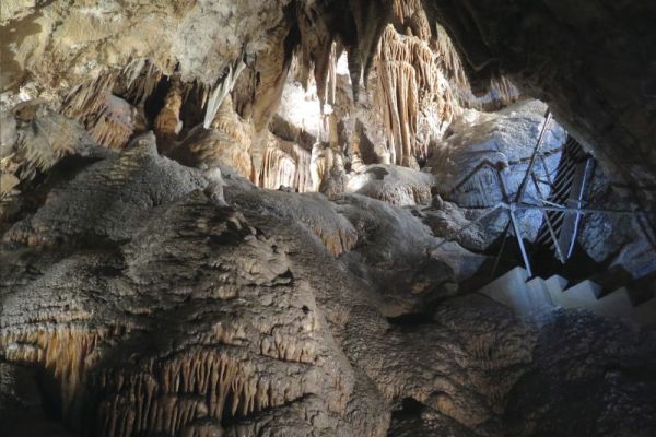 dpie-es-kosciuszkonp-jerseycave-yarrangobillycaves-800B46C89E1-42FA-D995-76CF-2116438AED9B.jpg