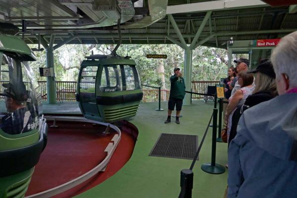 sab-skyrail-cairns-100082DC015D-34AD-96FE-2FCA-248573C9AD16.jpg
