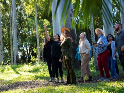 ta-byronbay-bangalowparkplands2-explorebyronbay-1000B6E5BB4C-39B6-E423-93EA-869FF72B6D2F.jpg