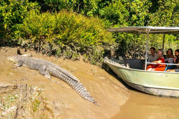 tws-crocodile-safari-100040910F05-753A-F1DA-A45C-F249844B2FD3.jpg