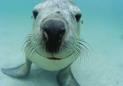 twa-seal-10007A65667C-D0FC-0BD6-8A69-5F6623050D1B.jpg