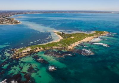 twa-shoalwatermarinepark-penguinisland-1000E6863EC2-E855-A913-0F94-C6D21B5F589C.jpg