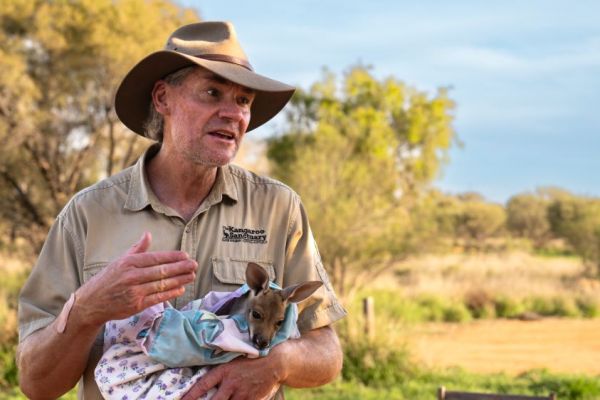 tnt-ks-alicesprings-kangaroosanctuary-100046723F7C-F774-B8E7-D7A6-D624BD5E9245.jpg