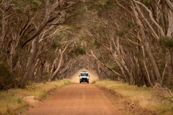 satc-ta-kangarooisland-except2-1000159736AE-42EA-15E6-DB93-BA4187554988.jpg