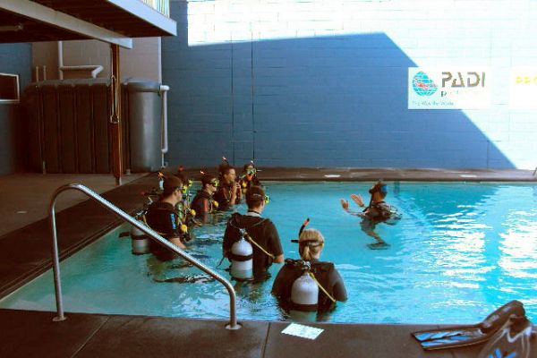 pp-tauchkurscairns02-6406E67C5BE-44AD-4D83-3B83-13429C365494.jpg