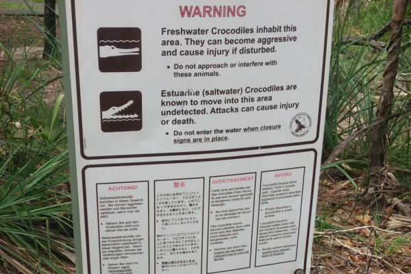 nl-crocodile-safety-schild-100035022BB8-A38A-67C0-A907-01C361A3409D.jpg