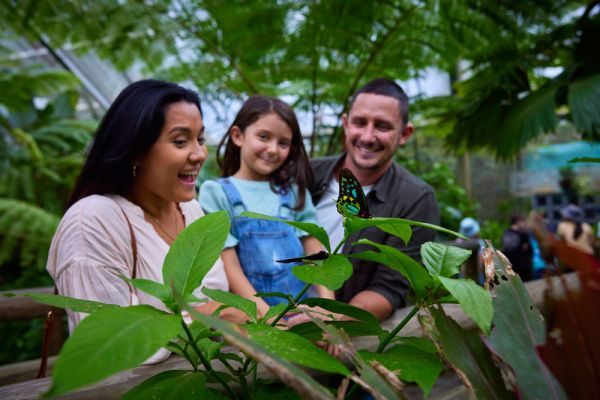 ttnq-kuranda-butterflysanctuary2-1000AFF41BD1-457F-D5AF-34DE-B282545D37D2.jpg