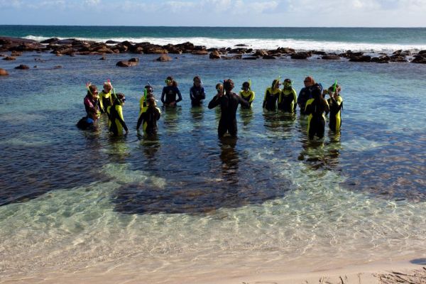 satc-ds-kangaisand-snorkel-1000026FABF9-2D73-E119-697A-A50E53E49963.jpg