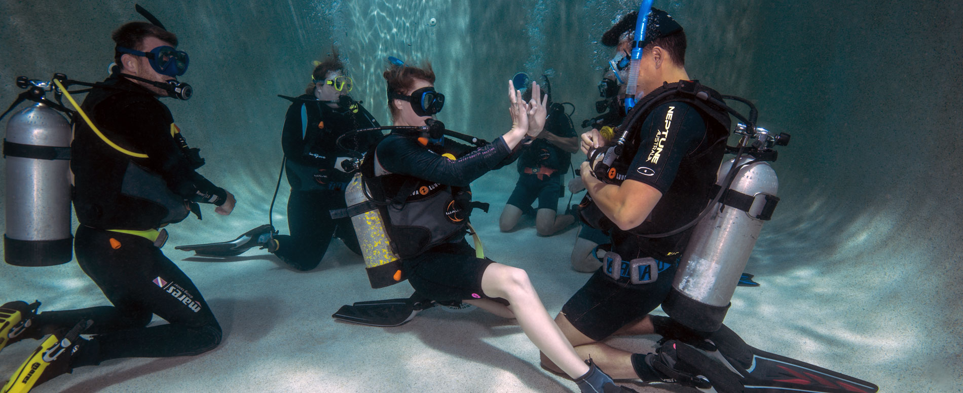 TEQ LadyMusgrave 1300