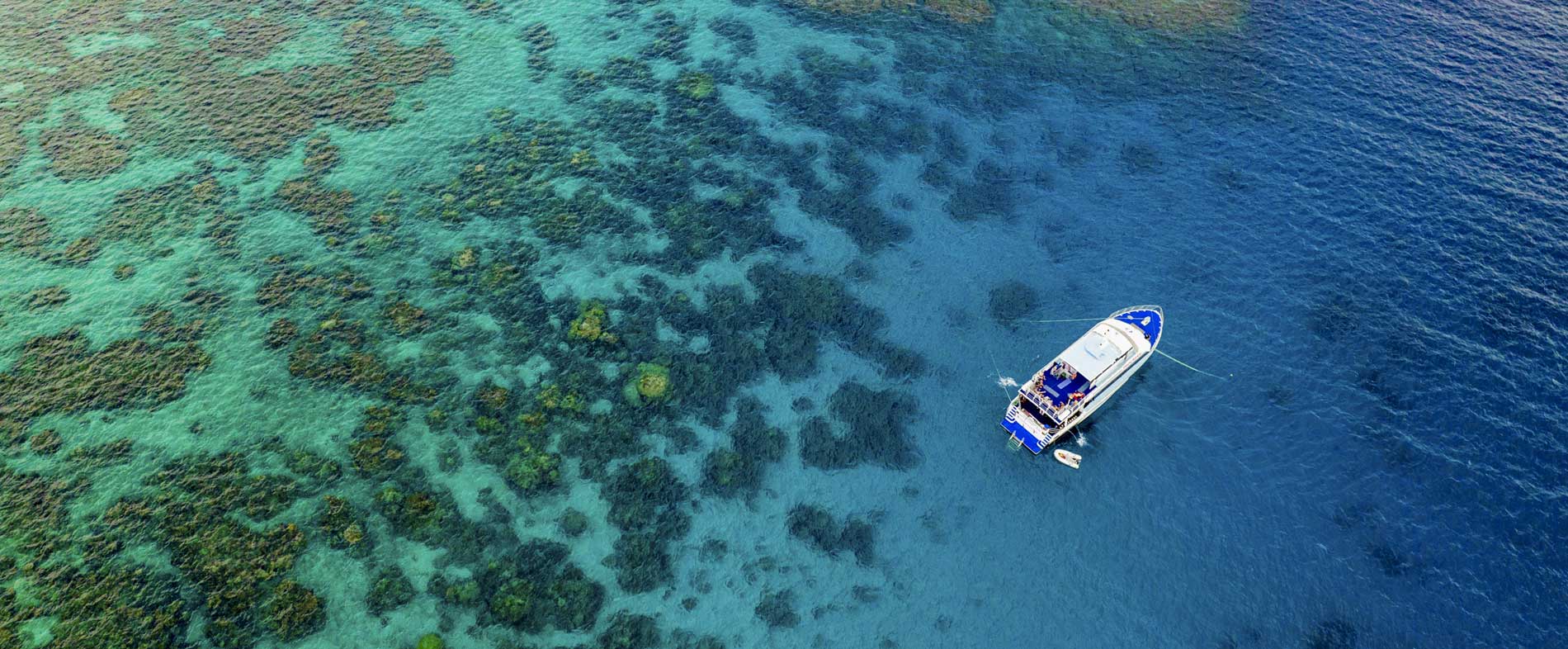 TQLD auchkurse2 1600