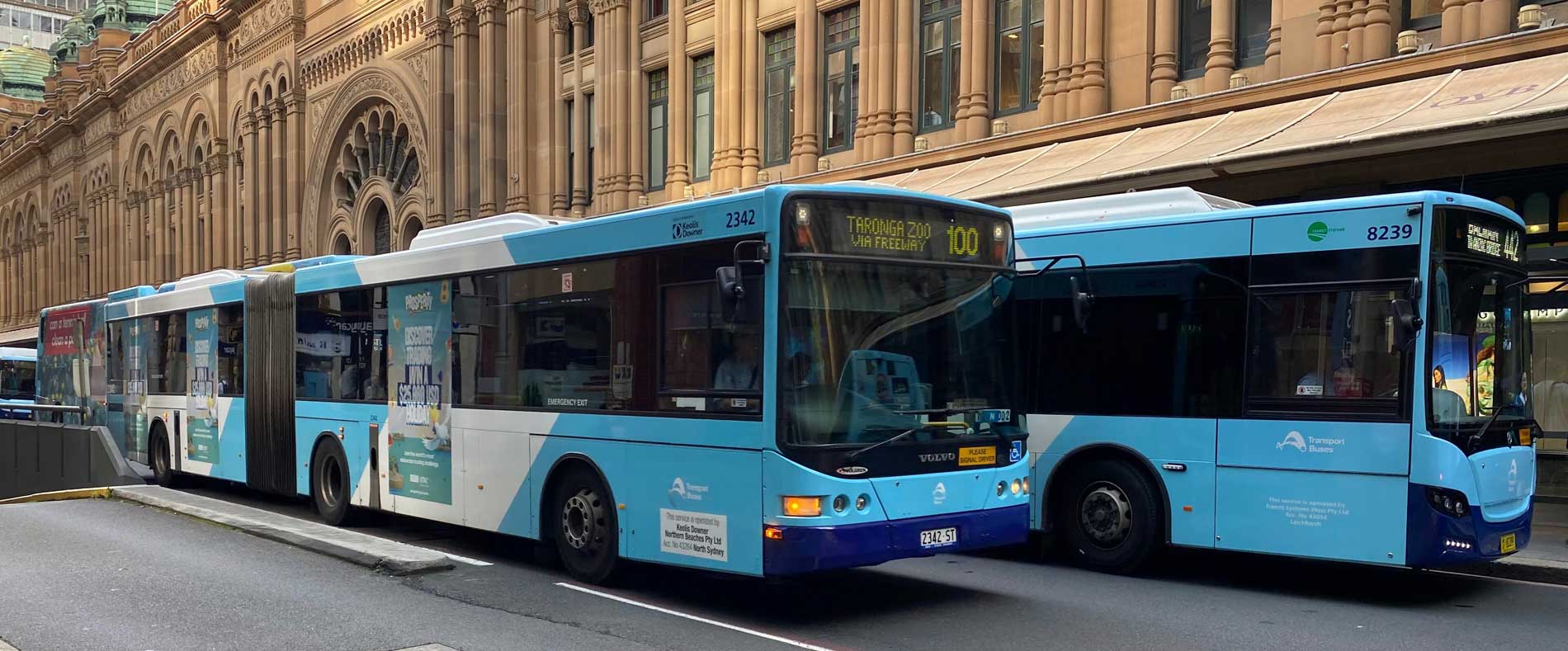 Sydney Bus