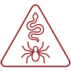icon info