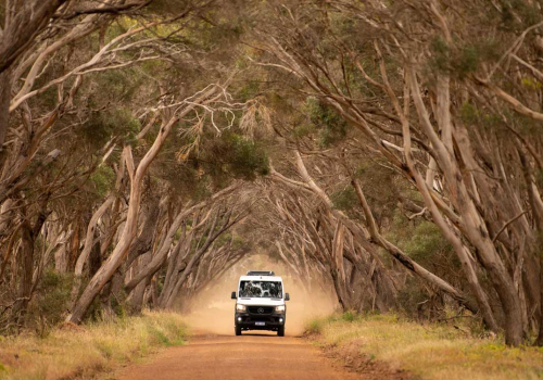 Tour oder Camper: Für Kangaroo Island braucht man einen Schlüssel